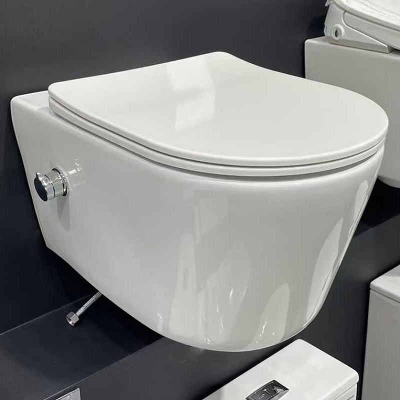 Contemporary Bathroom Wc Toilet, Grade AAA Ceramic, P-Trap/S-Trap