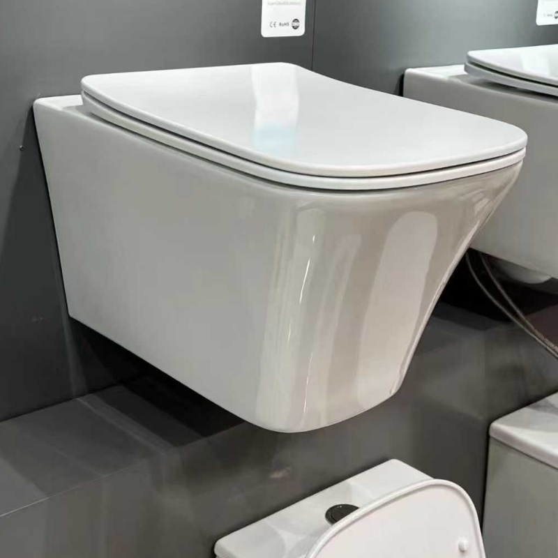 Contemporary Bathroom Wc Toilet, Grade AAA Ceramic, P-Trap/S-Trap